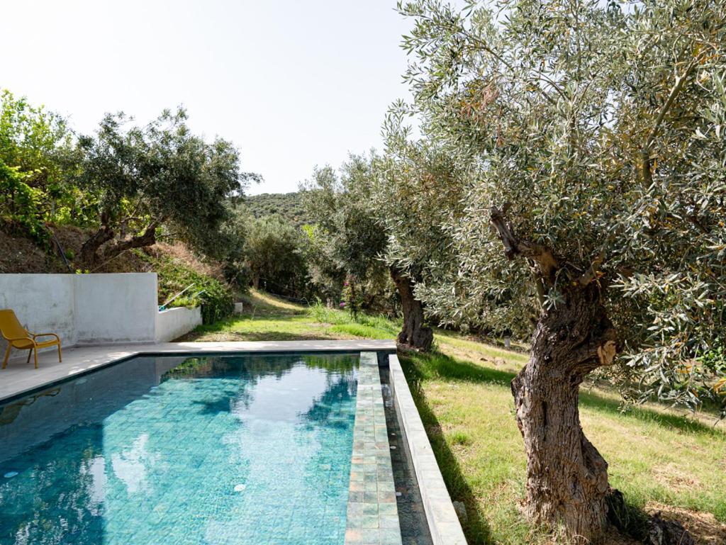 Dohos Skiathos Suites Ksanemos ภายนอก รูปภาพ